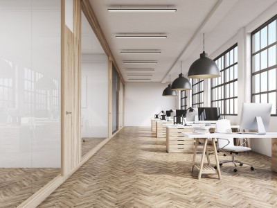 office 530221237
